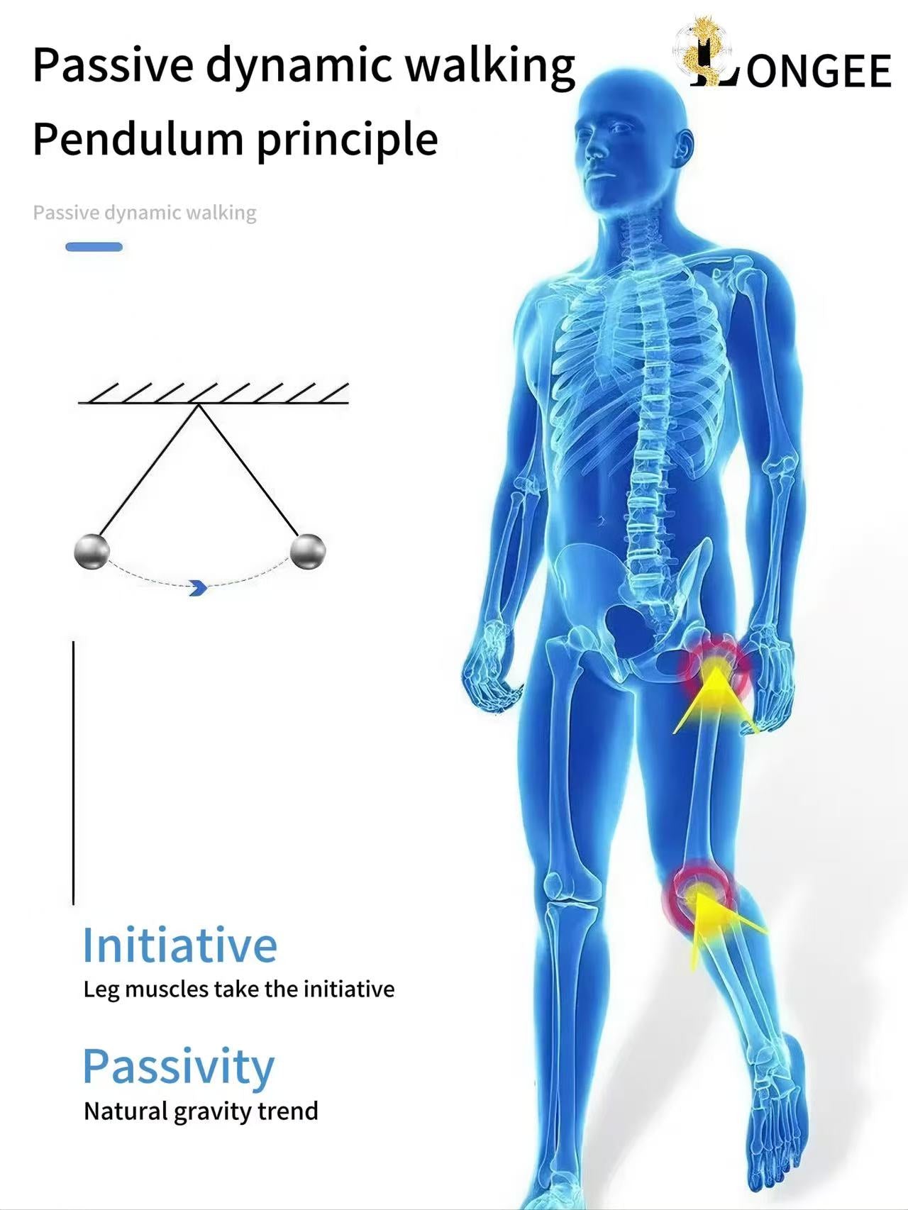 Exoskeleton Robot(Walking Robot)